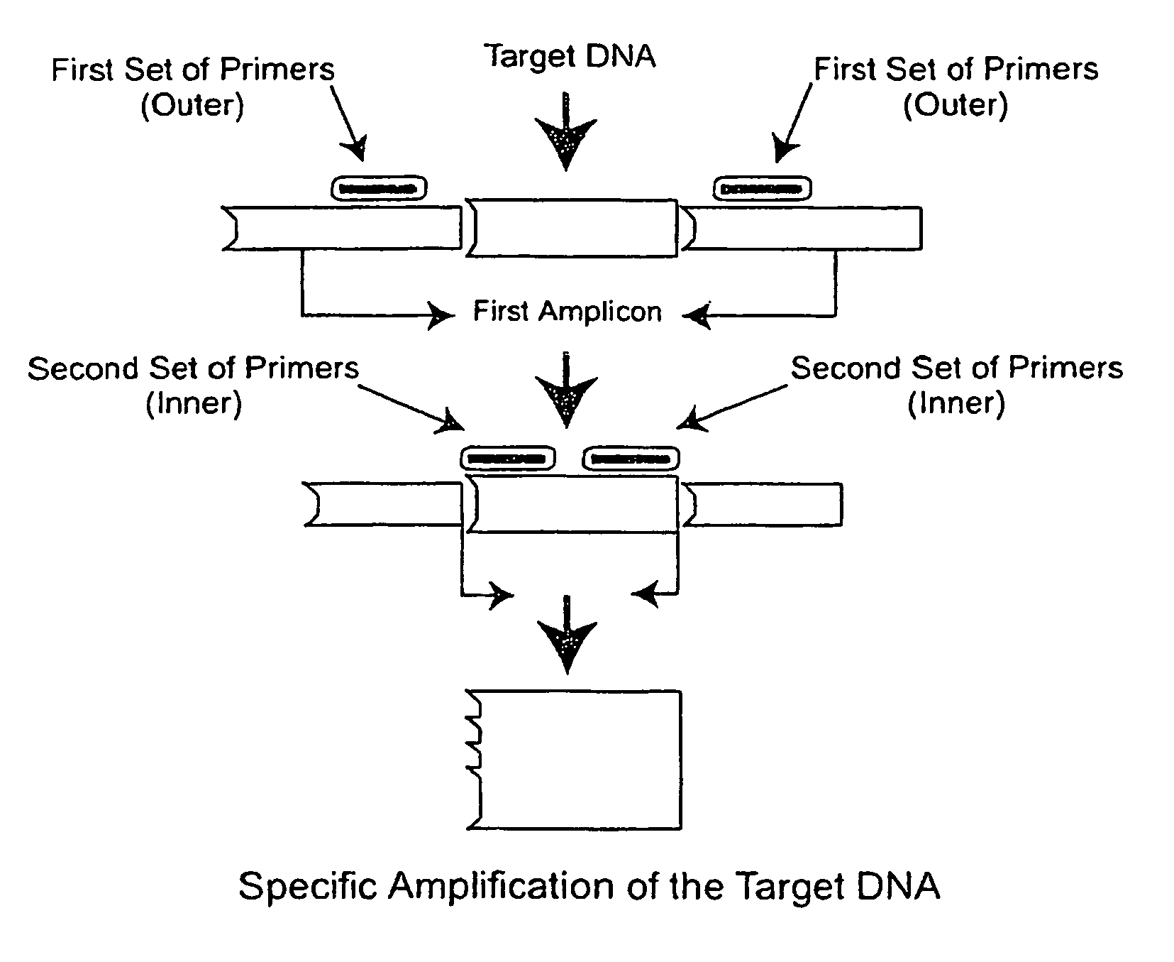 Reagents and Methods for Detecting Severe Acute Respiratory Syndrome Coronavirus