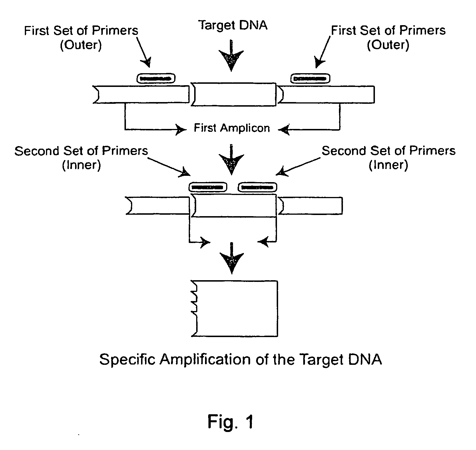 Reagents and Methods for Detecting Severe Acute Respiratory Syndrome Coronavirus