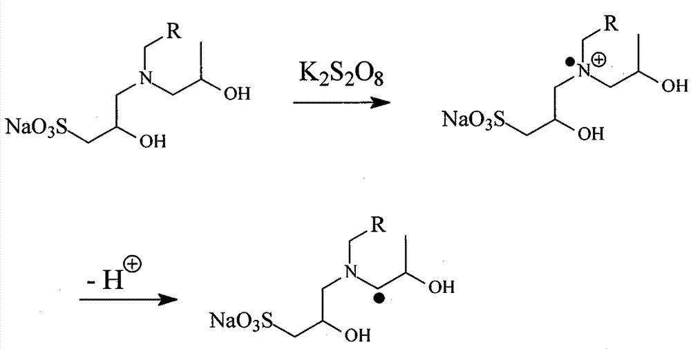 A kind of anionic surfactant initiator and preparation method thereof