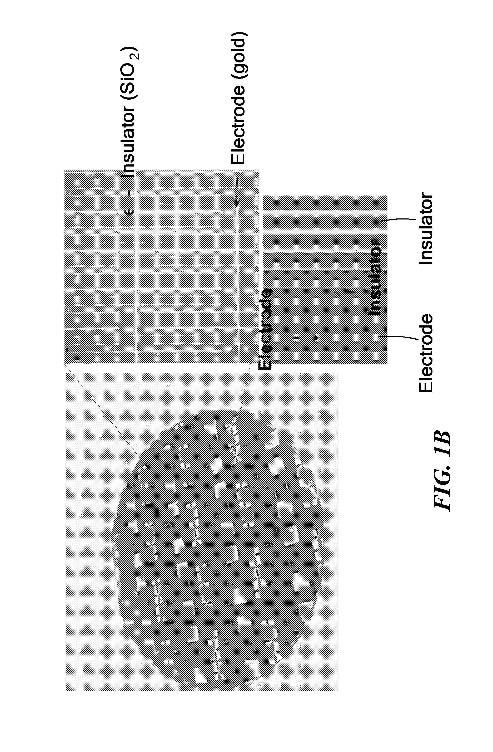 Damascene Template for Directed Assembly and Transfer of Nanoelements