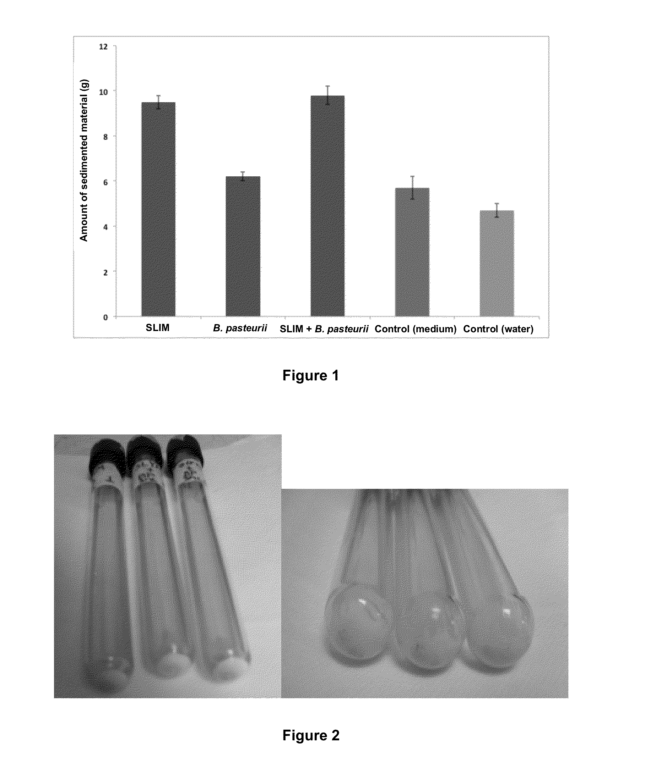 Biocementation of particulate material in suspension