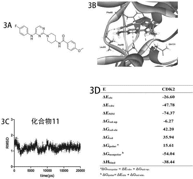 Novel CDK2 inhibitor and application thereof in resisting of breast cancer