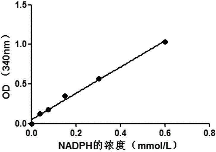 Method of screening 1-deoxyxylulose-5-phosphate racemase inhibitor from marine microorganism fermentation broth