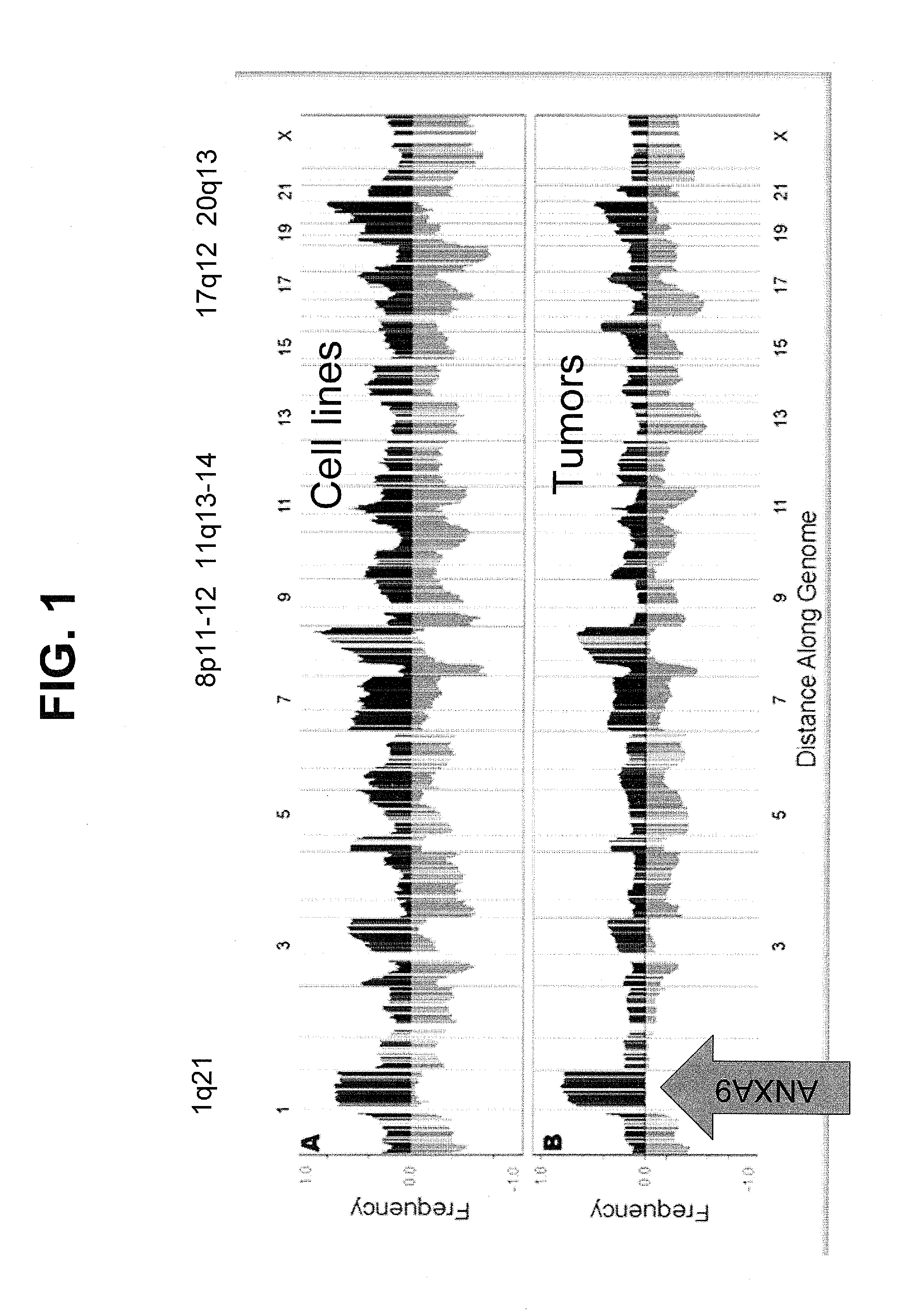 Annexin A9 (ANXA9) biomarker and therapeutic target in epithelial cancer