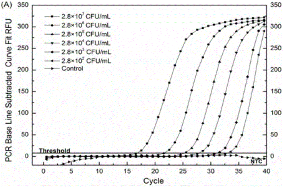 Primer and application thereof in PCR detection of alicyclobacillus spp. in fruit juice