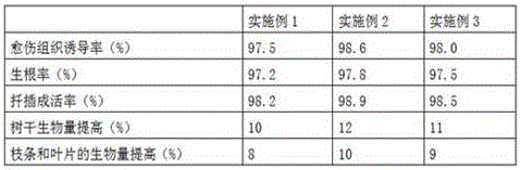 Method for carrying out original-soil greening on sandy soil mainly containing chloride through soil improvement fertilizers with chelated iron