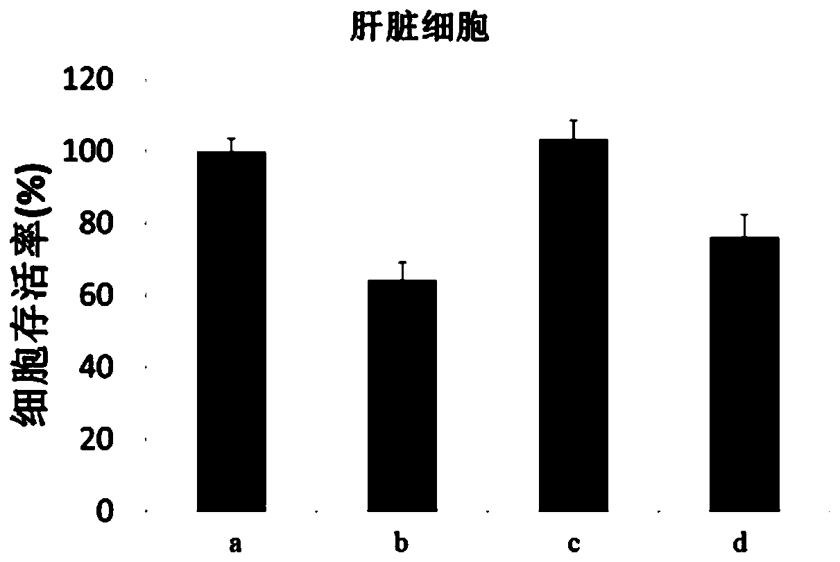 Liposome complex not penetrating blood-brain barrier and preparation method thereof