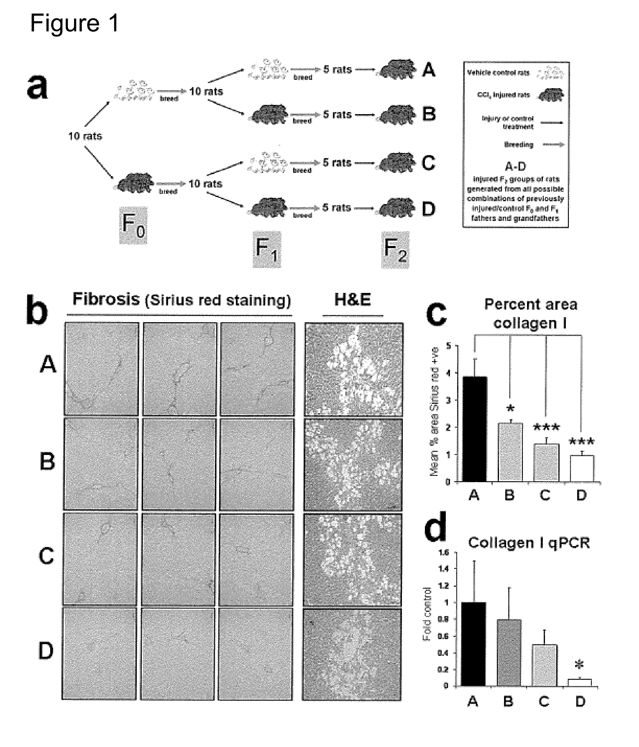 Methods relating to identification of susceptibility to liver injury