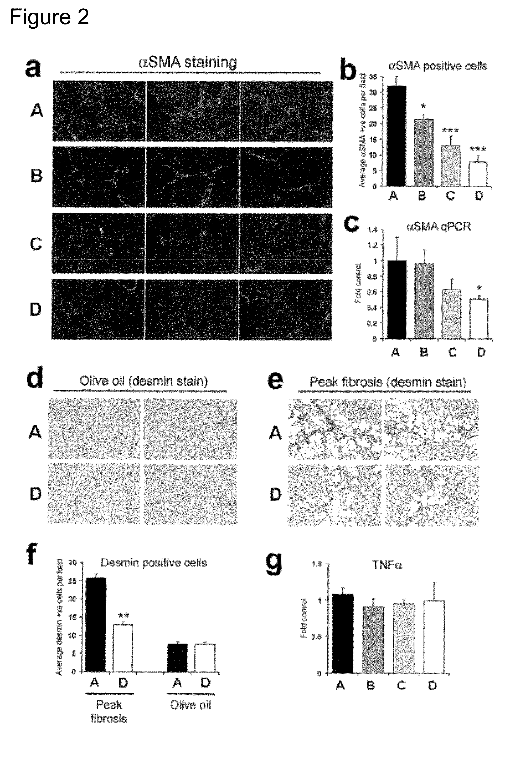 Methods relating to identification of susceptibility to liver injury