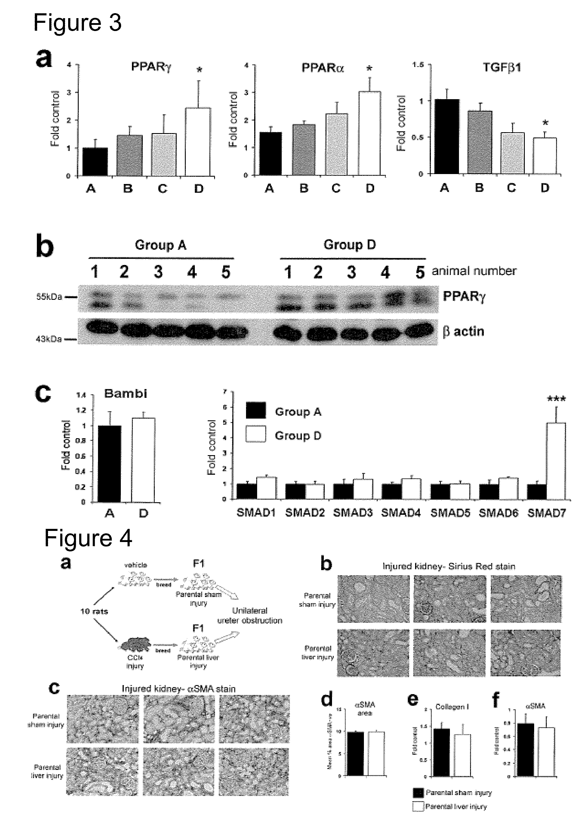 Methods relating to identification of susceptibility to liver injury