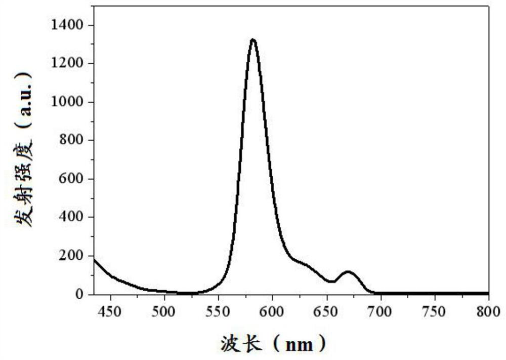 Fluorescent boron dipyrrole fluorescent dye and its preparation method and application