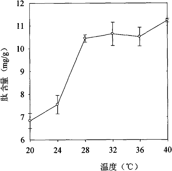 A germinated brown rice rich in bioactive peptides