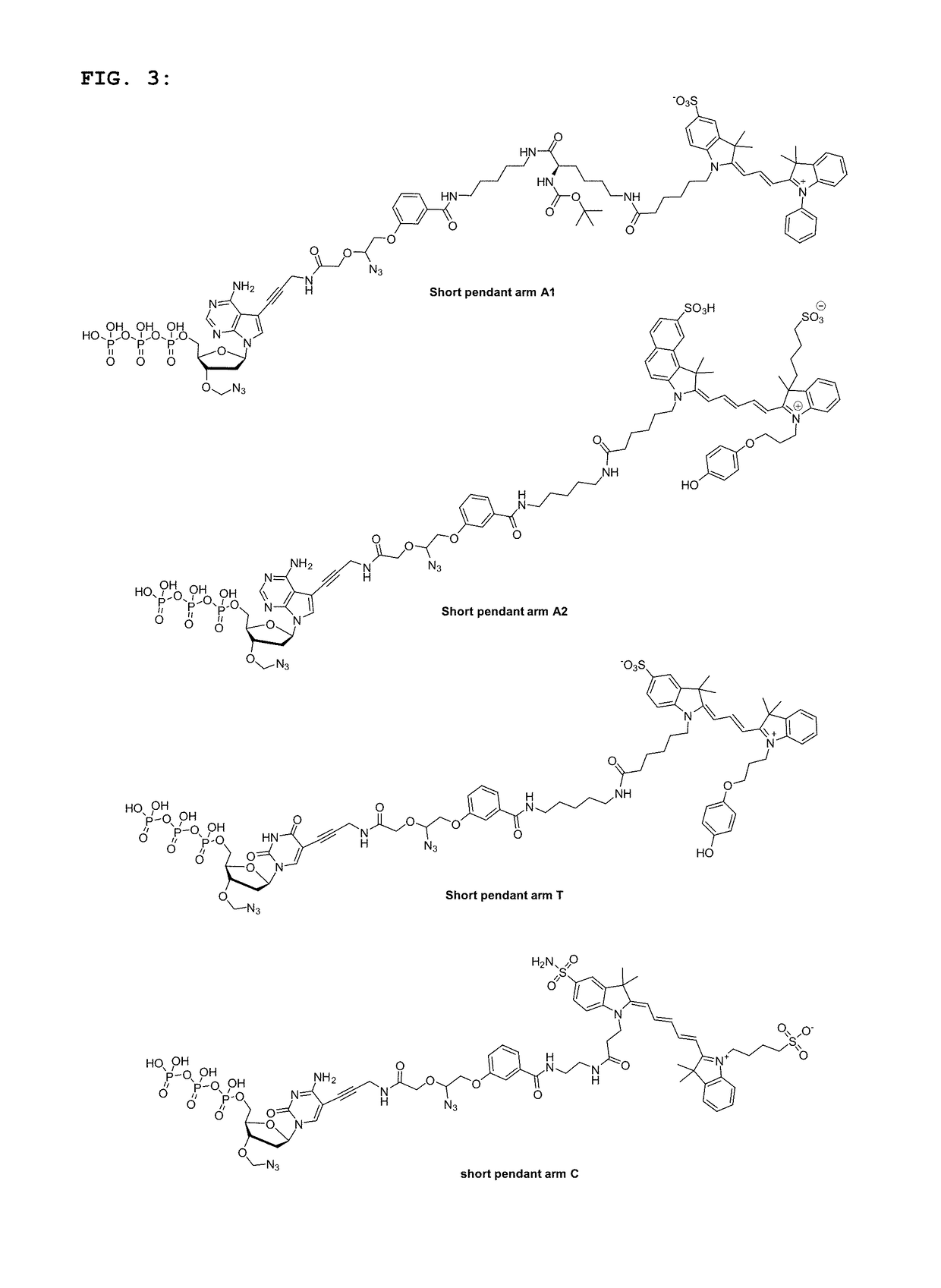 Short pendant arm linkers for nucleotides in sequencing applications