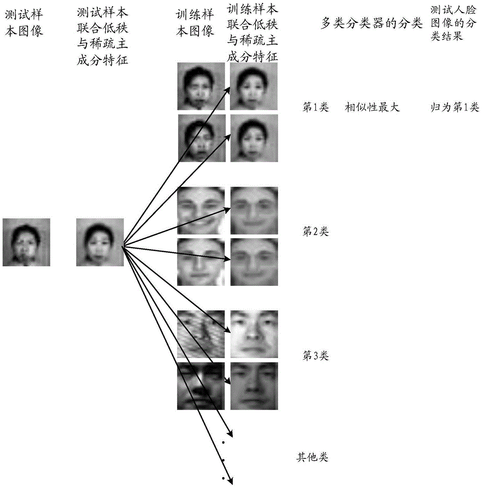 Robust human face image principal component feature extraction method and identification apparatus