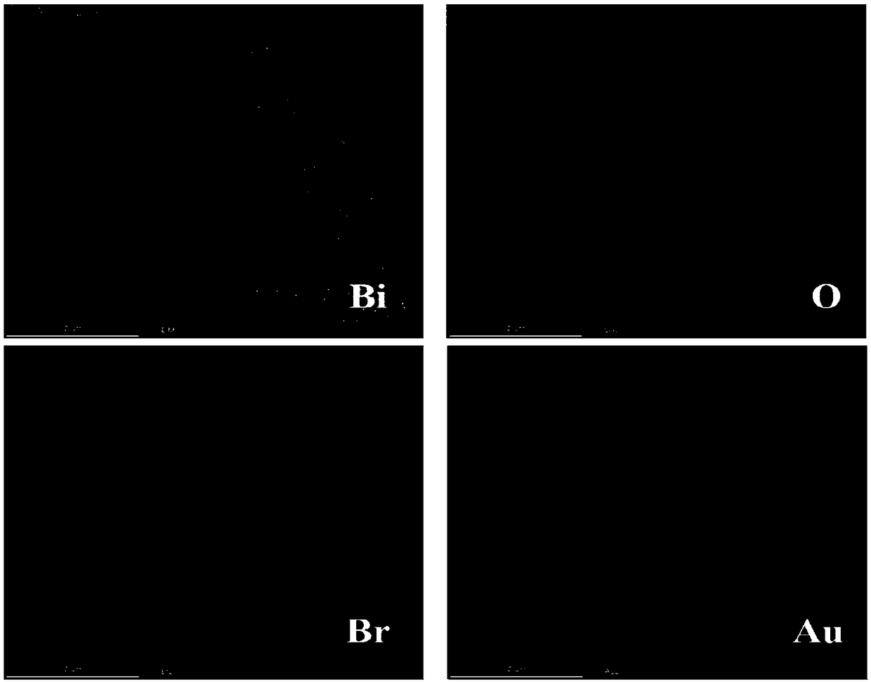 Au/Bi24O31Br10 composite photocatalyst and preparation method thereof