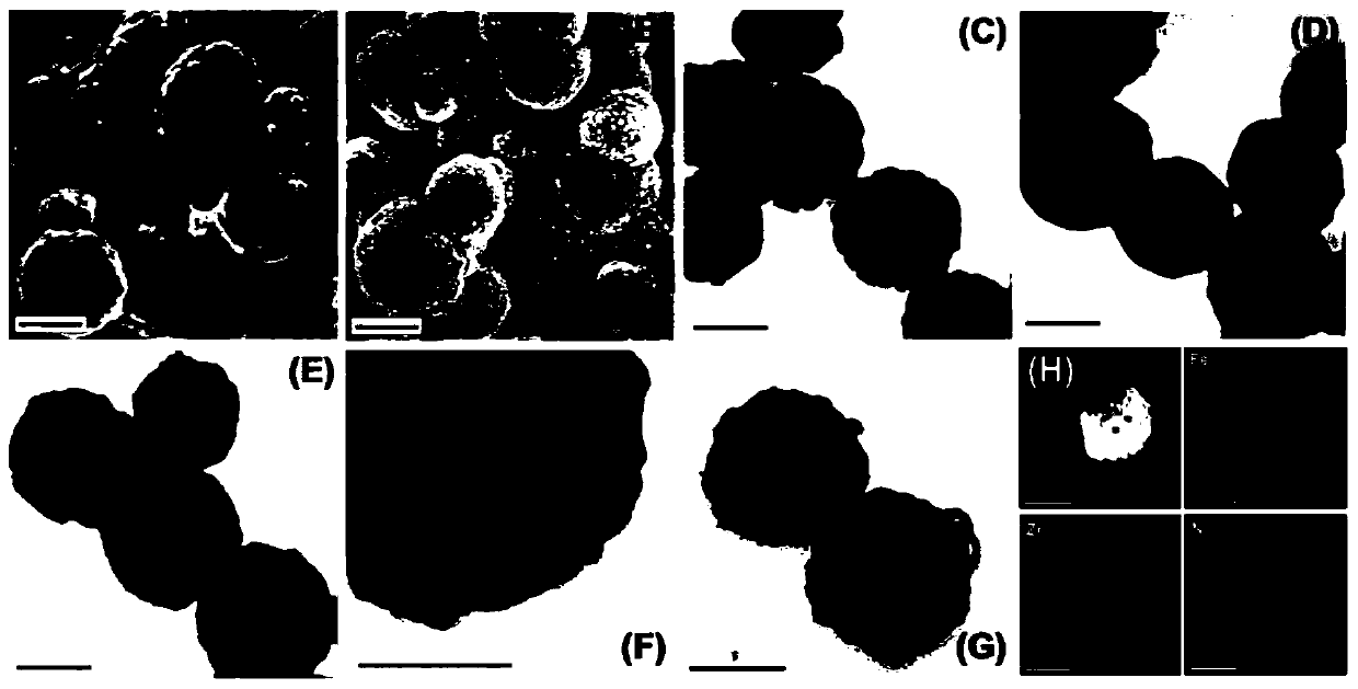 Preparation and applications of magnetic composite porous network adsorbing material
