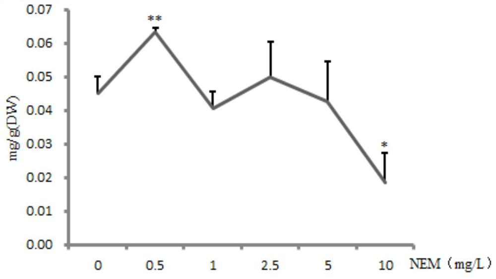 A method for promoting the accumulation of rosmarinic acid in hairy roots of Salvia miltiorrhiza