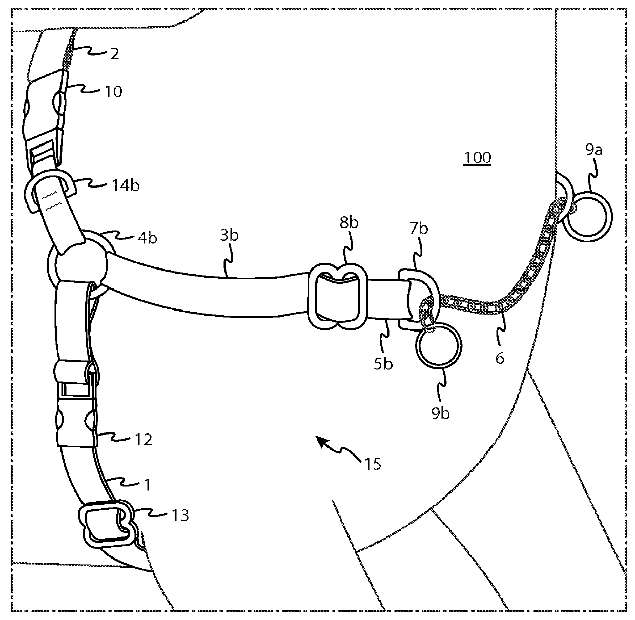 Dog harness