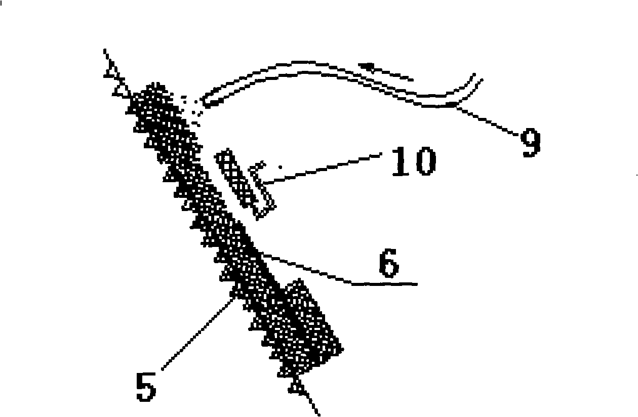 Construction method using soil curing material to build water storage facilities