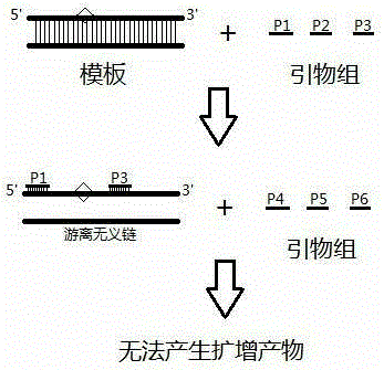 Detection method for detecting difference of nucleic acid fragments