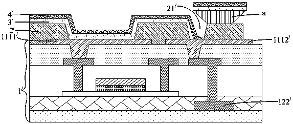 Organic light-emitting display device