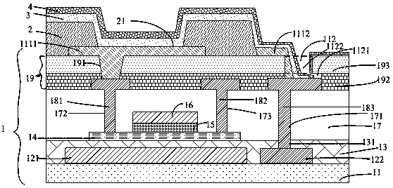 Organic light-emitting display device