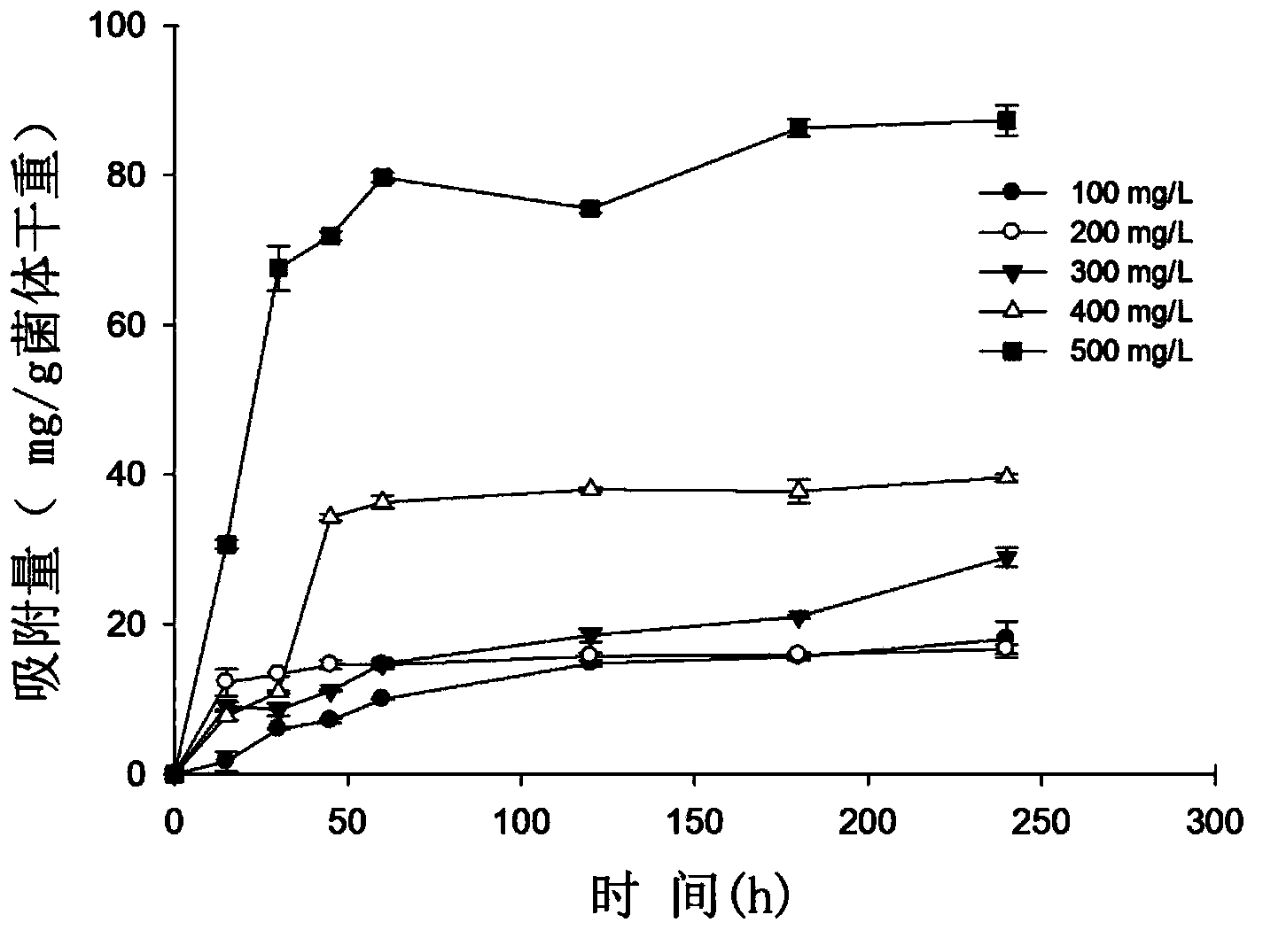 High-cadmium-adsorption filamentous fungi penicillium chrysogenum J-5 as well as preparation method and application thereof