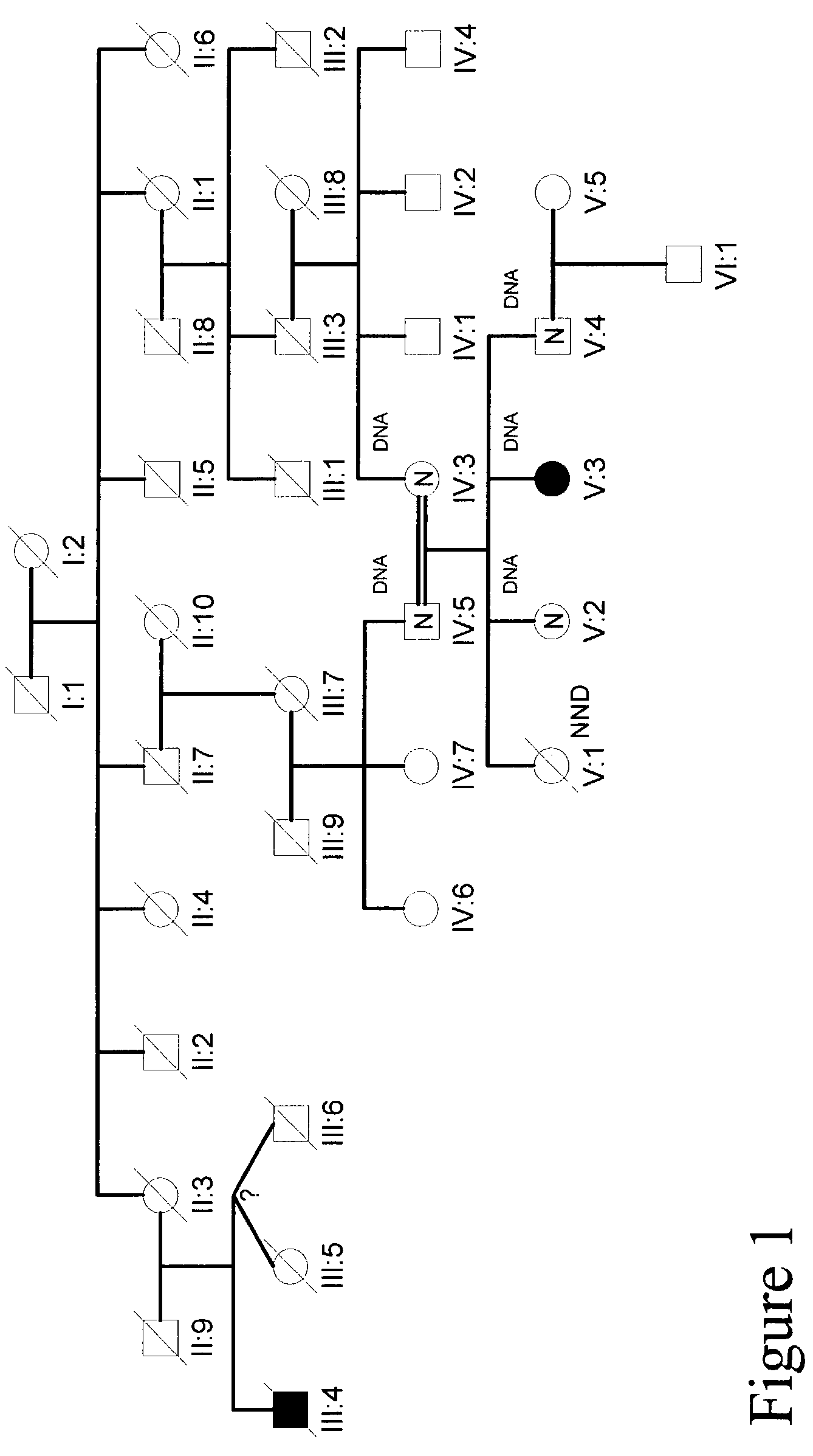 Methods for identifying analgesic agents