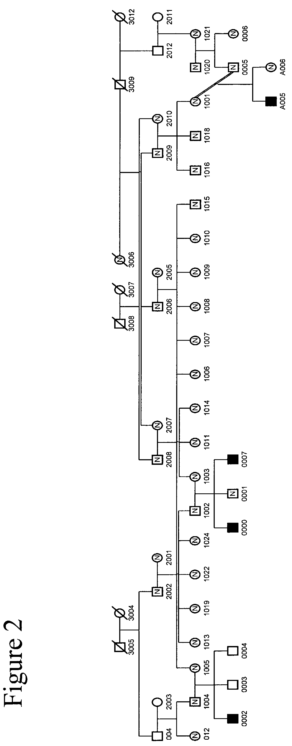 Methods for identifying analgesic agents