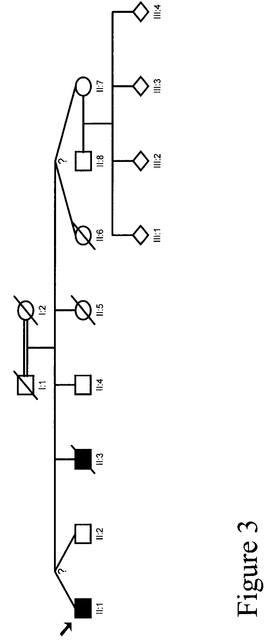 Methods for identifying analgesic agents