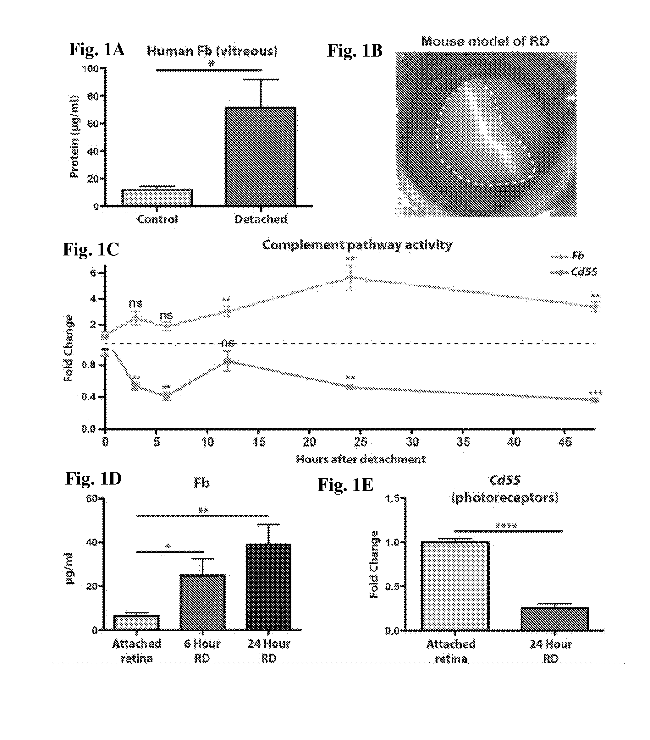 Methods of Preventing or Reducing Photoreceptor Cell Death