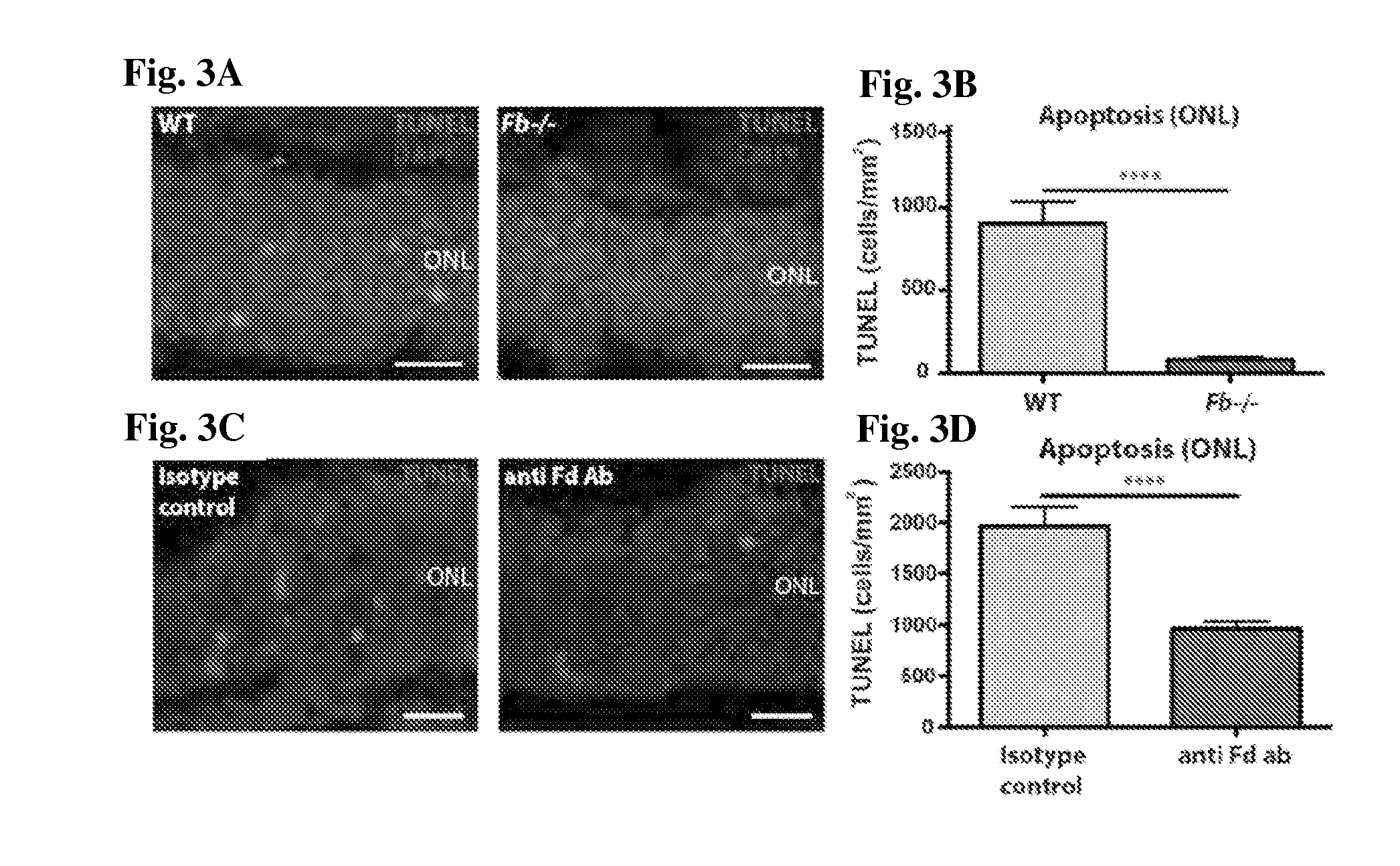 Methods of Preventing or Reducing Photoreceptor Cell Death