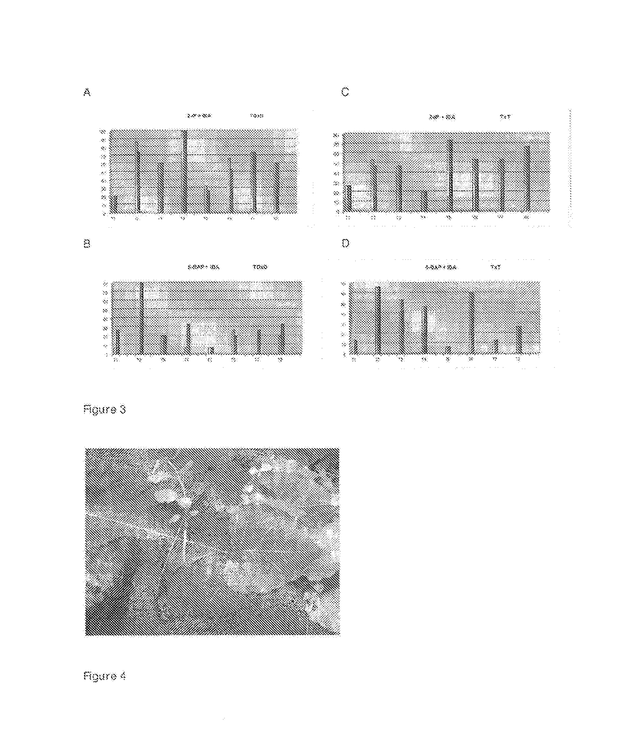 Method for propagation of poplar tree from leaf cuttings