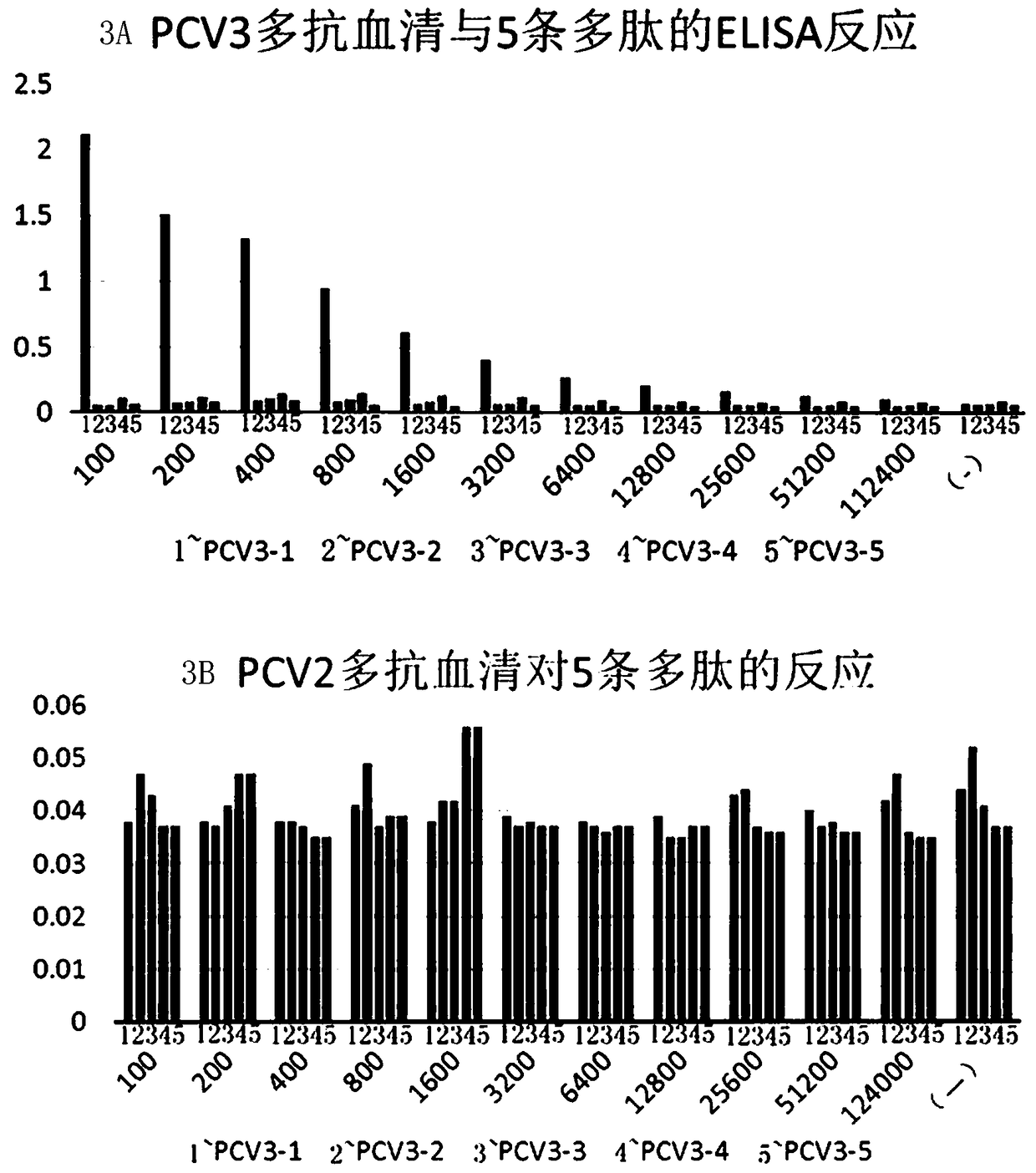 PCV3 epitope polypeptide sequence screening method
