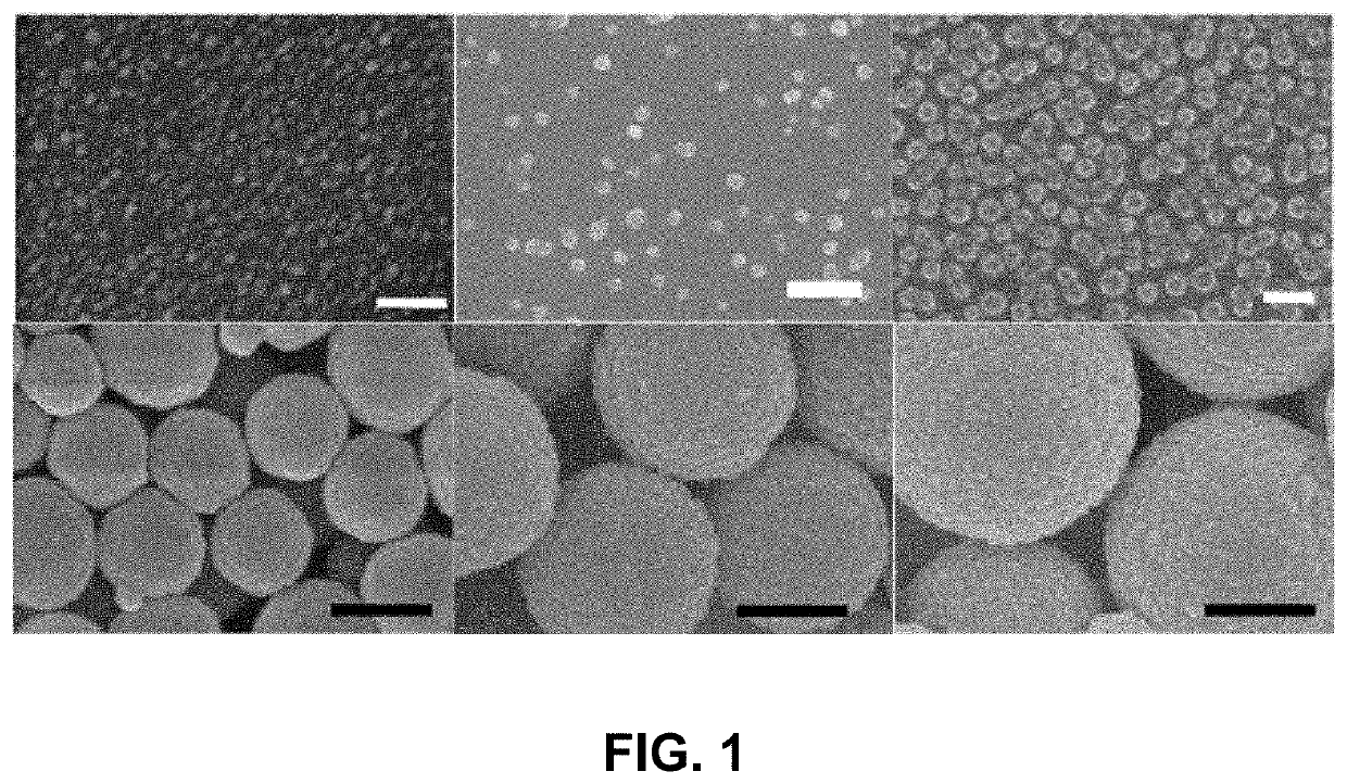 Hydrogel particle carriers for delivery of therapeutic/diagnostic agents