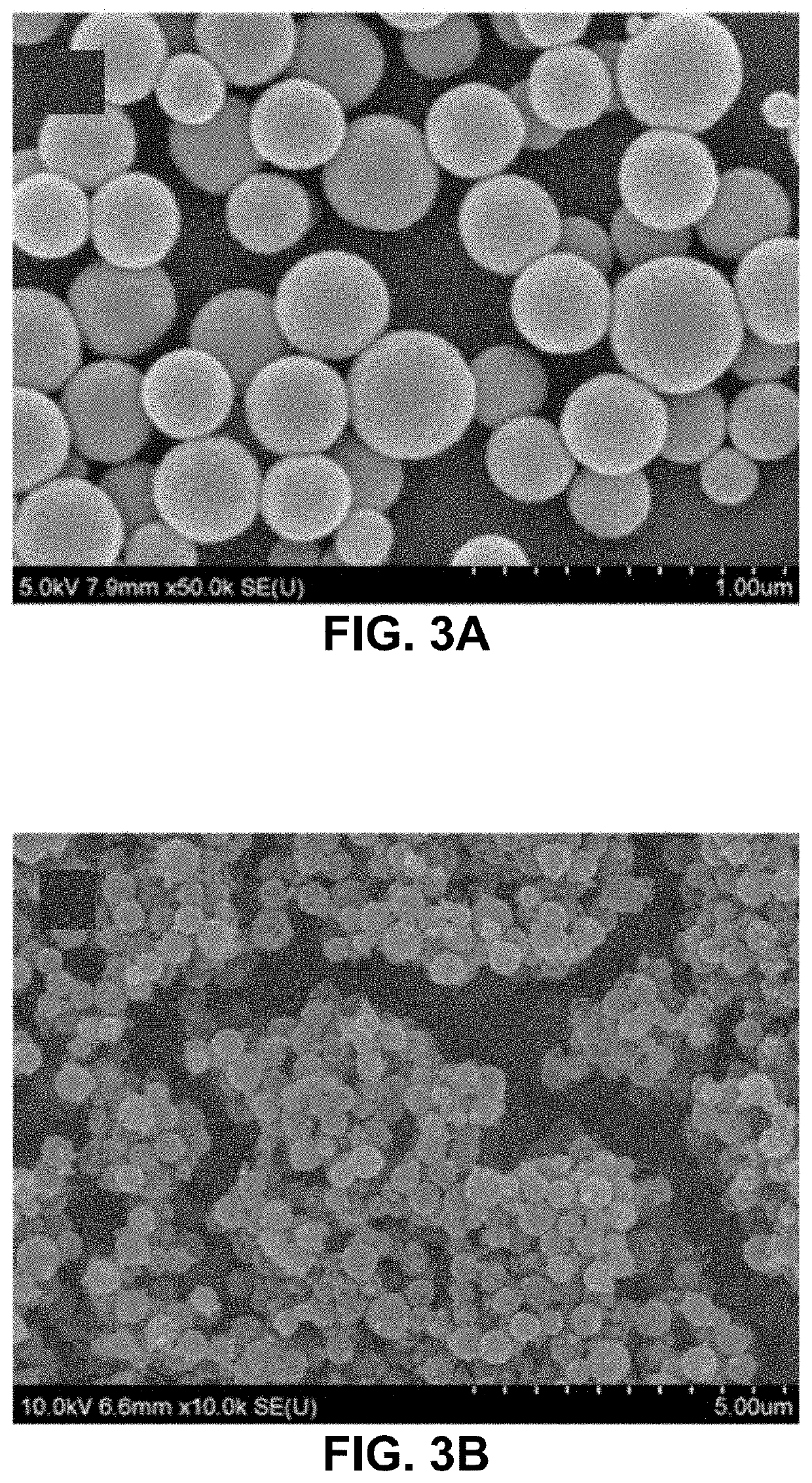 Hydrogel particle carriers for delivery of therapeutic/diagnostic agents