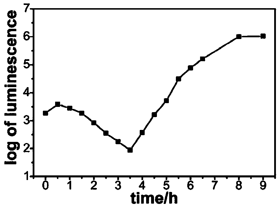 Applications of conjugated polymer pfp-g2