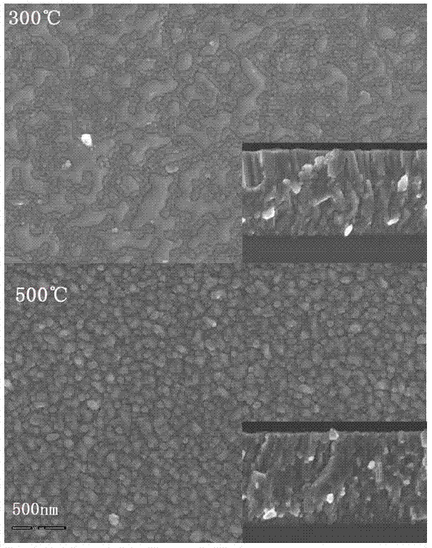 Lead strontium titanate thin film and production method thereof