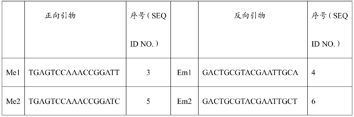 SRAP molecular marker, kit and method for identifying Pelteobagrus fulvidraco, Pelteobagrus vachelli and first filial generation and application