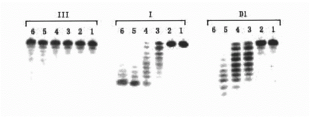 Isonucleoside compound or ortho-phosphite derivative thereof and preparation method and application thereof