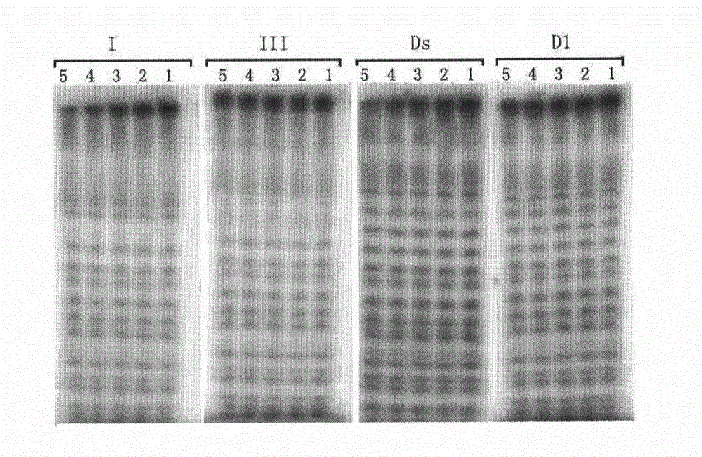 Isonucleoside compound or ortho-phosphite derivative thereof and preparation method and application thereof