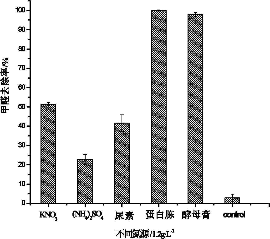 High-activity high-tolerance formaldehyde degrading bacteria and application thereof