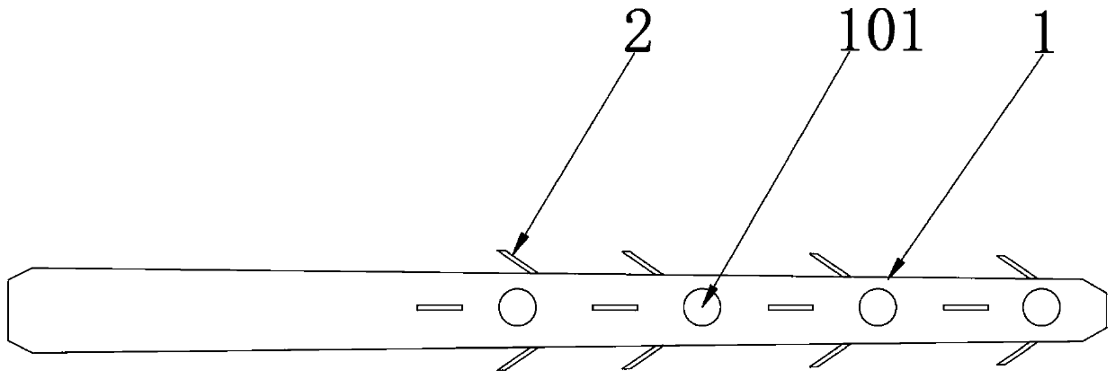 Stent drainage tube applied to pancreaticoenterostomy