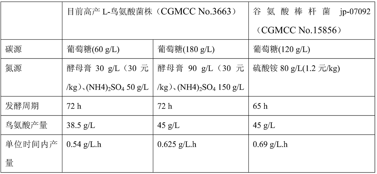 Corynebacterium glutamicum for high production of L-ornithine and application thereof