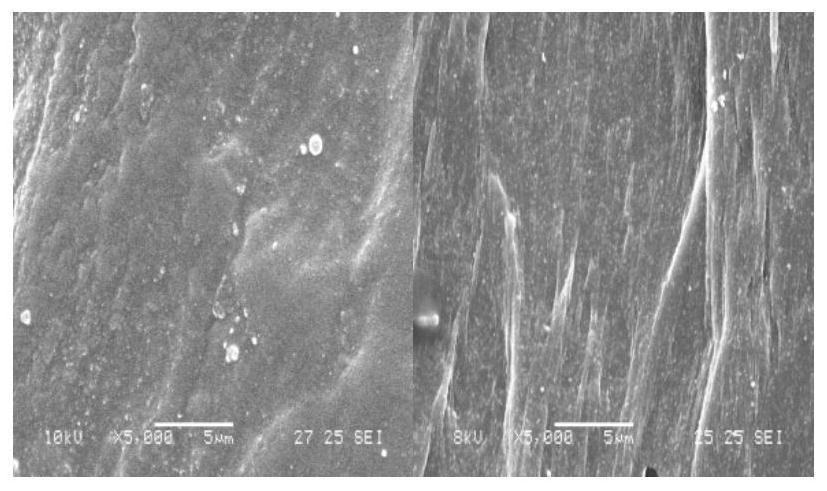 Polyamide functional master batch carrier resin and polyamide functional master batch