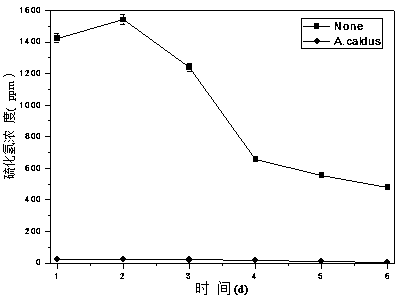 A kind of method for removing hydrogen sulfide in biogas by thermophilic acid thiobacillus