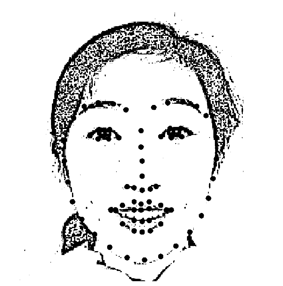 Face expression automatic identification method