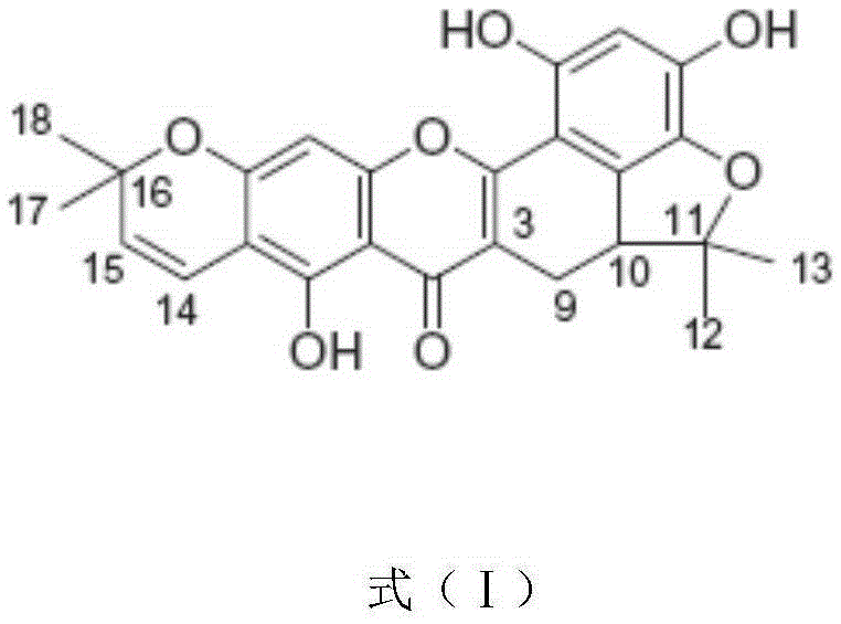 Application of Isocycloartobiloxanthone in preparing drug for treating tubercle bacilli