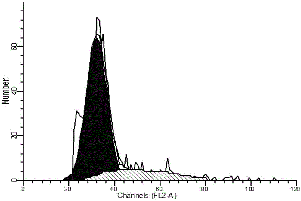 Method for cultivating male sterile tobacco haploids from unfertilized ovules