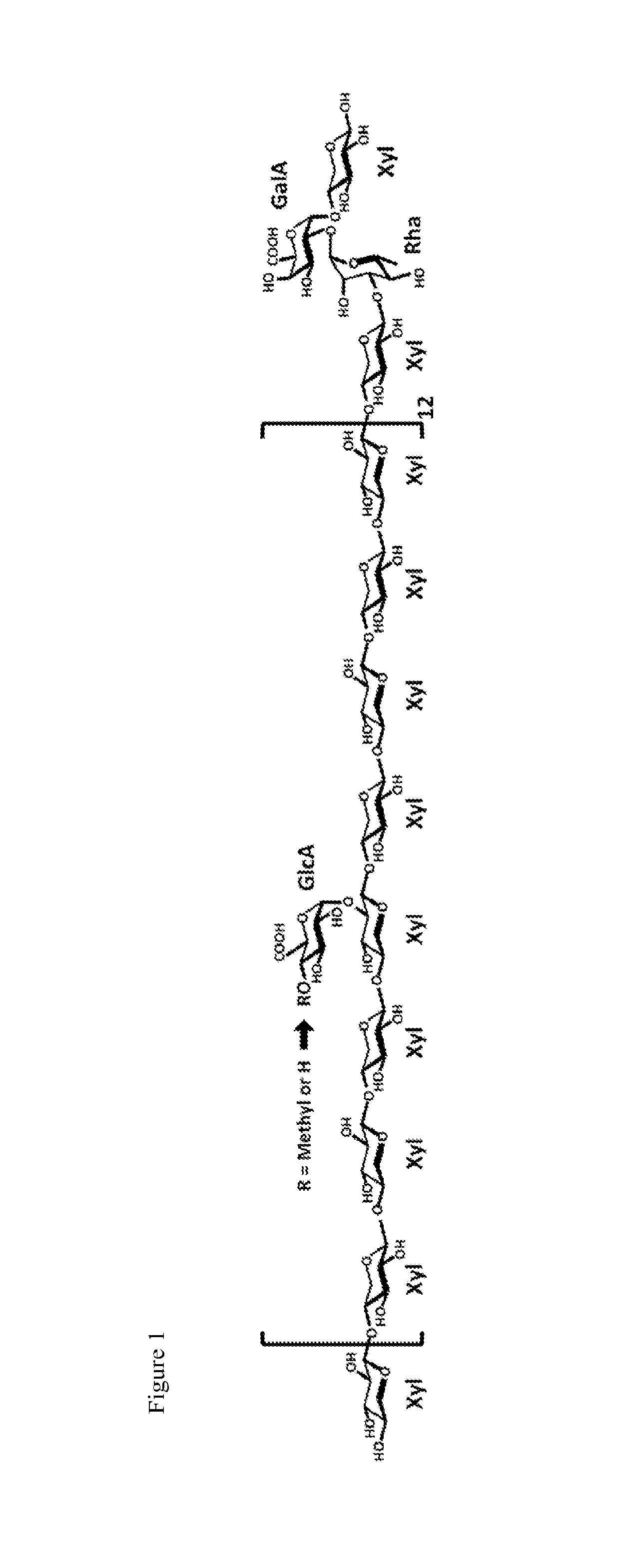 Plants with altered glucuronoxylan methyl transferase activity and methods of use